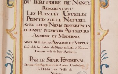 Les élèves de Seconde L à la découverte des « Lumières en Lorraine »