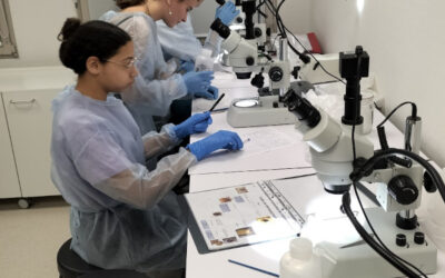 Pour faire avancer la science sur la maladie de Lyme : des élèves de 2nd dans la peau d’un chercheur pendant trois jours…