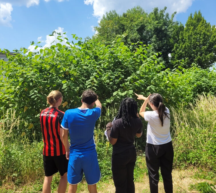 BIODIVERSITÉ : Diagnostic d’invasion à Nancy !