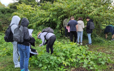 Invasion dangereuse à échelle locale comme mondiale