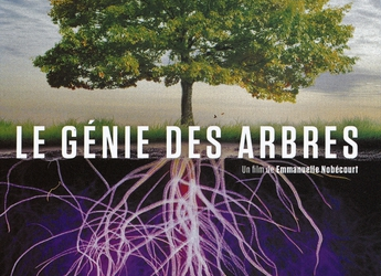 Ciné-débat: Le génie des arbres