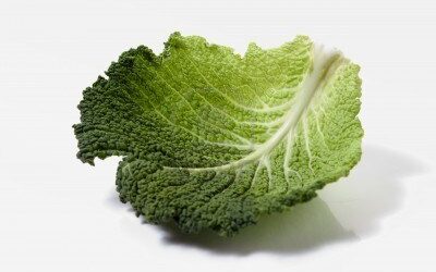 La feuille de choux n°15 est disponible !